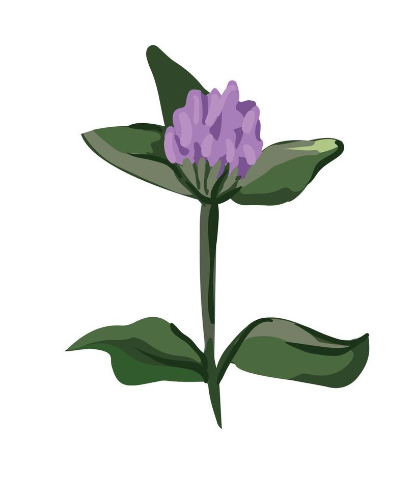 flor de ilustración vectorial vector