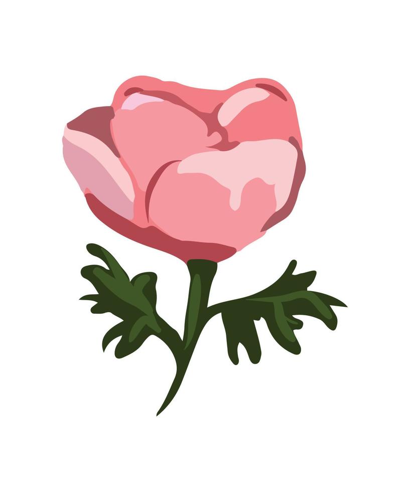 flor de ilustración vectorial vector