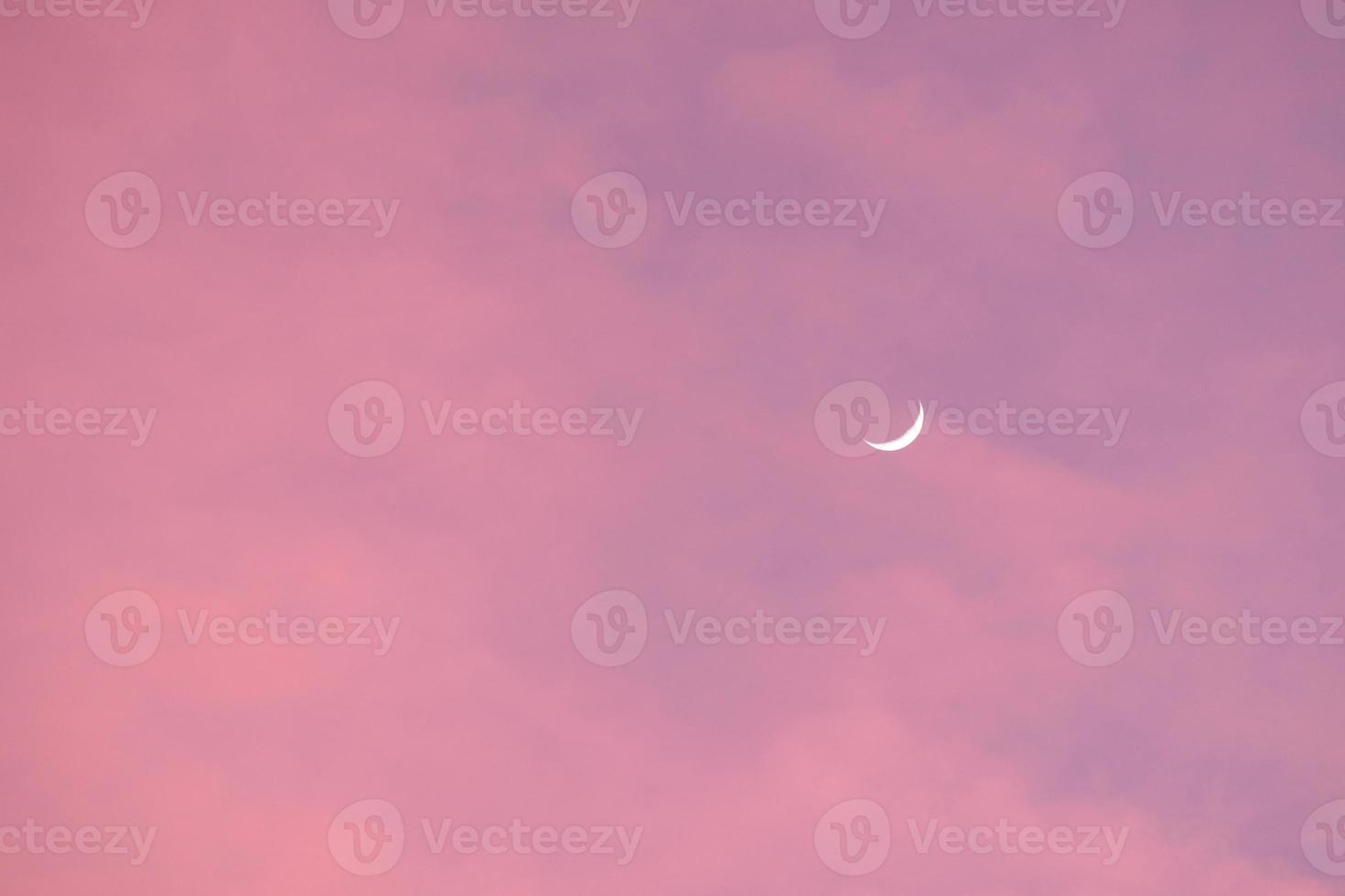 Half Moon in the morning on pink sky photo