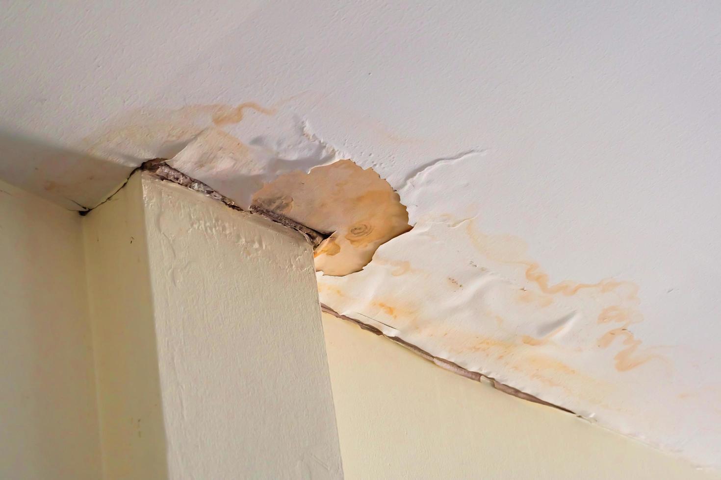 Water damaged ceiling roof, brown stain, office building photo