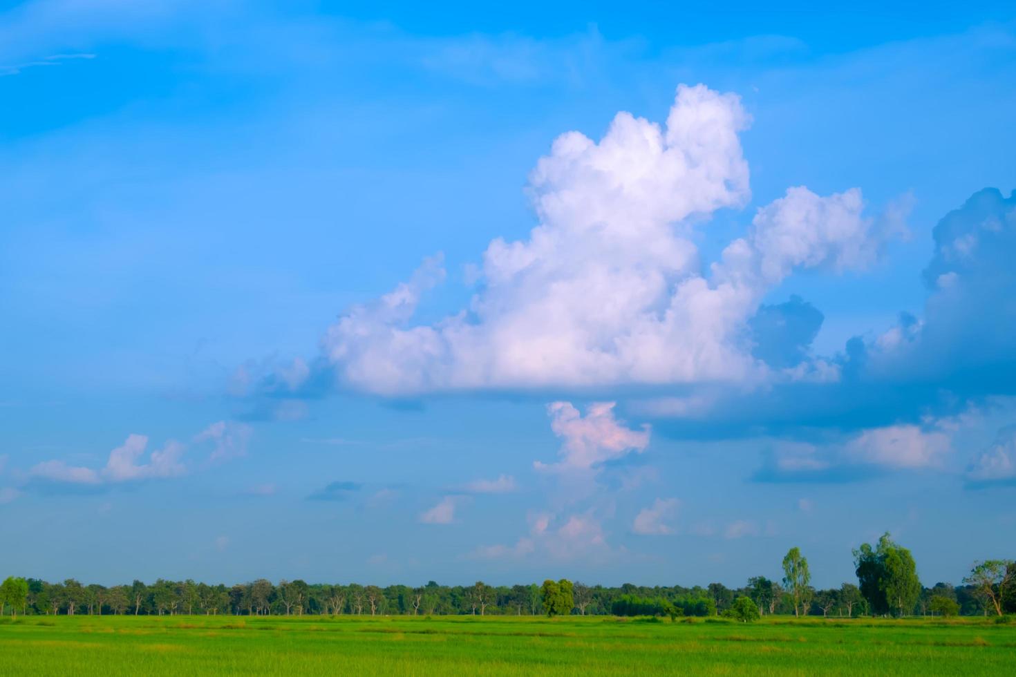 Beautiful spring field with a green grass blue sky white clouds photo