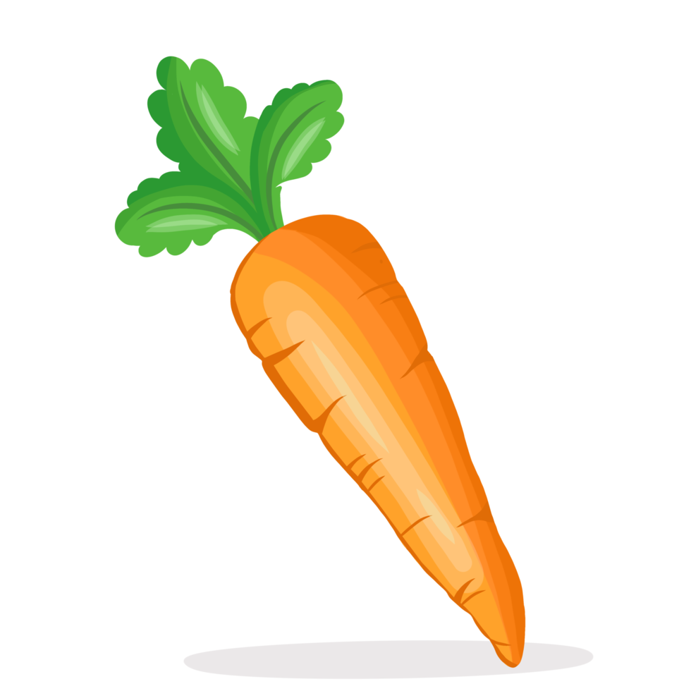 Free ilustración de vegetales de zanahoria sola fresca 14322784 PNG with  Transparent Background