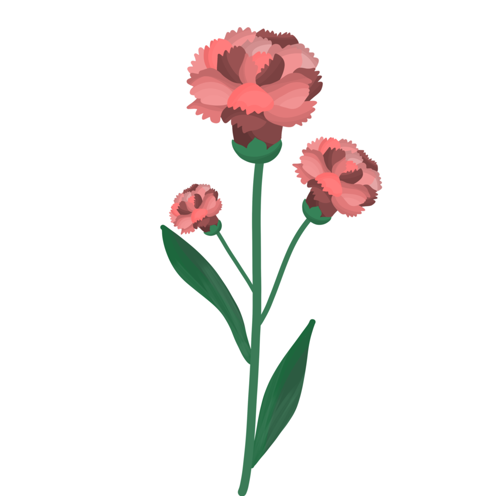 skön knippa av rosa blomma illustration png