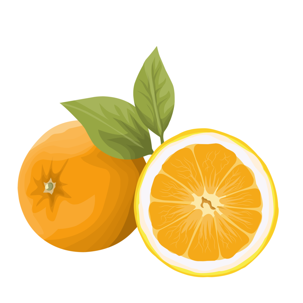 archivo png de fruta naranja