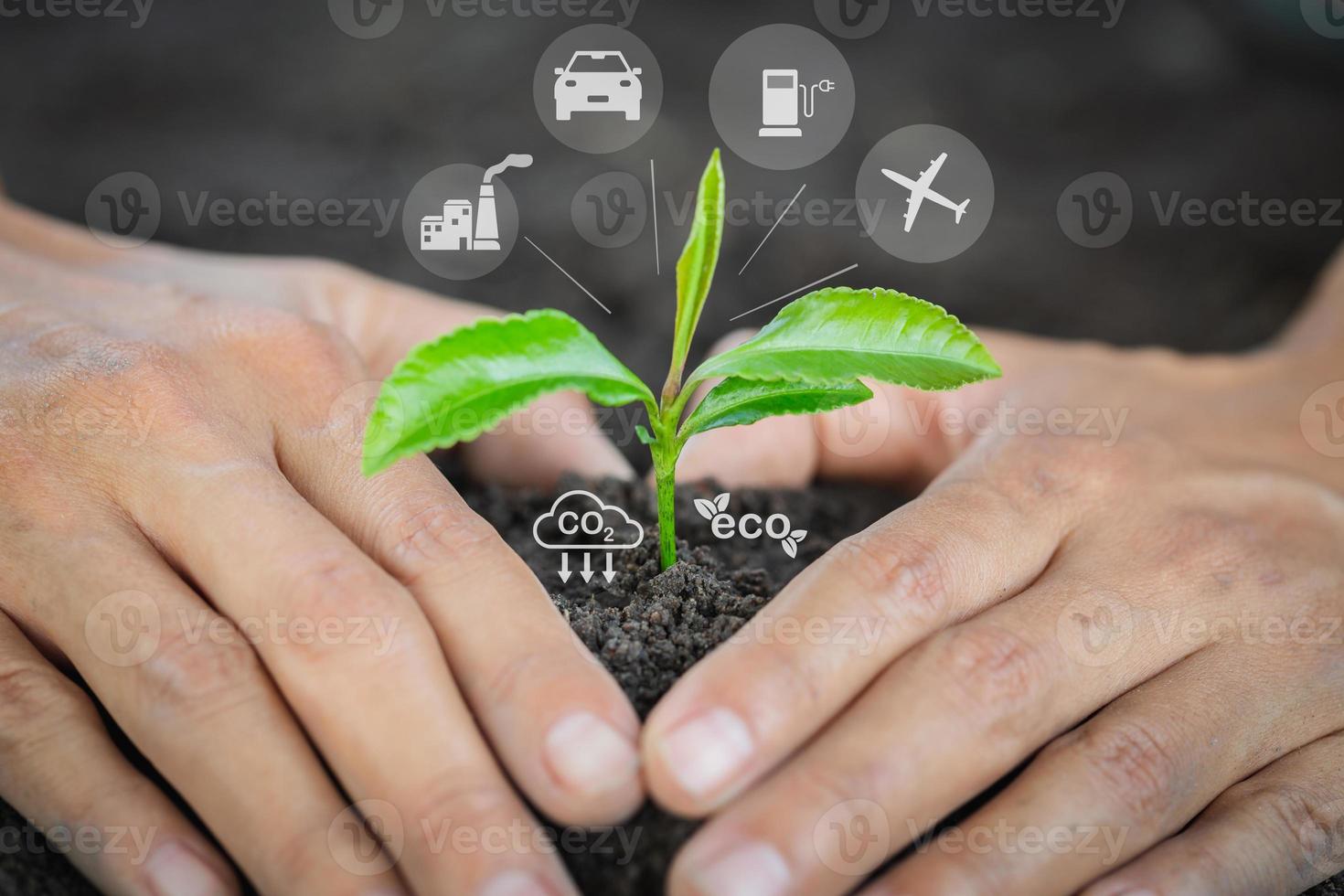 Trees grow in human hands. Hand planting trees with technology of renewable resources to reduce pollution ESG icon concept in hand for environmental, social and sustainable business governance. photo