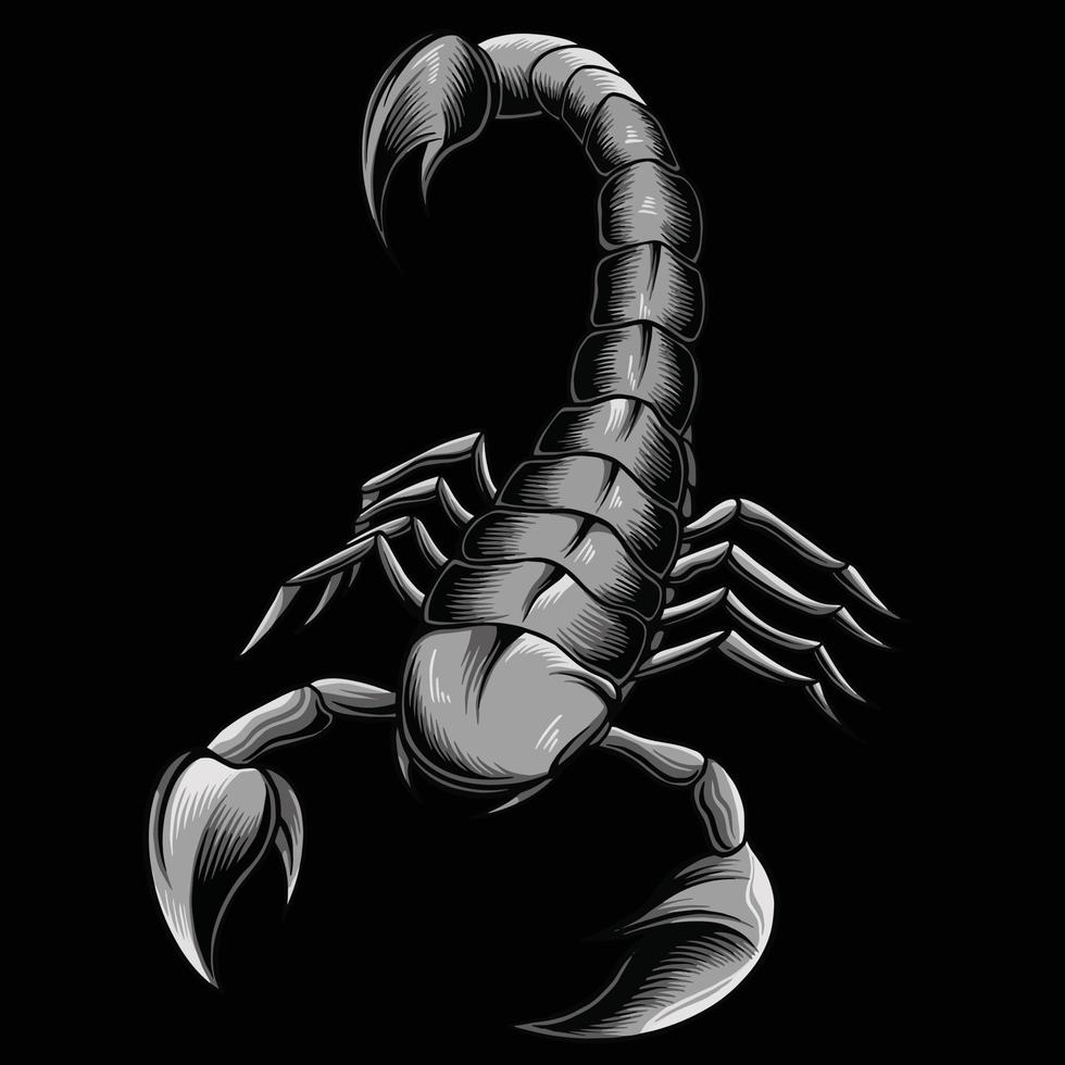 monochromatic Illustration of scorpion arachnid insect. vector graphics