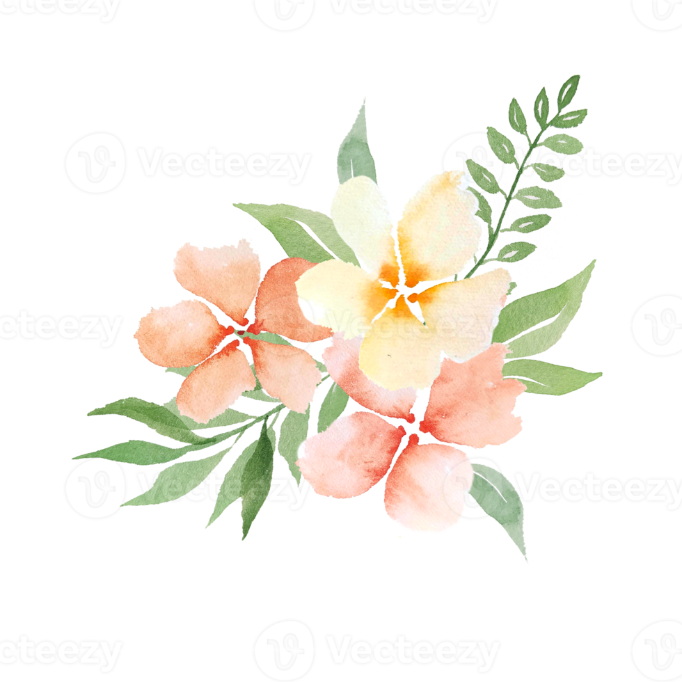 Watercolor peach flowers png