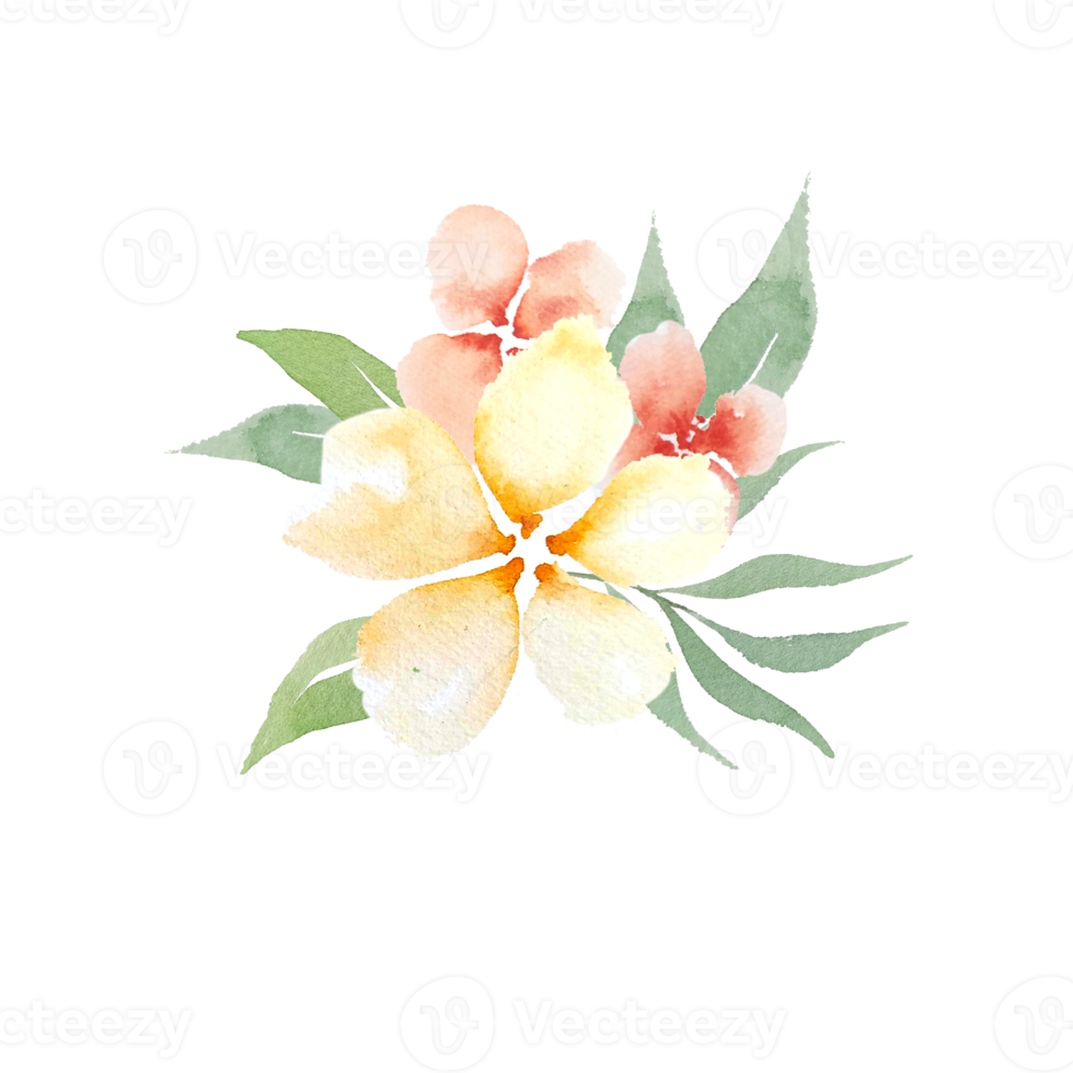 Watercolor peach flowers png