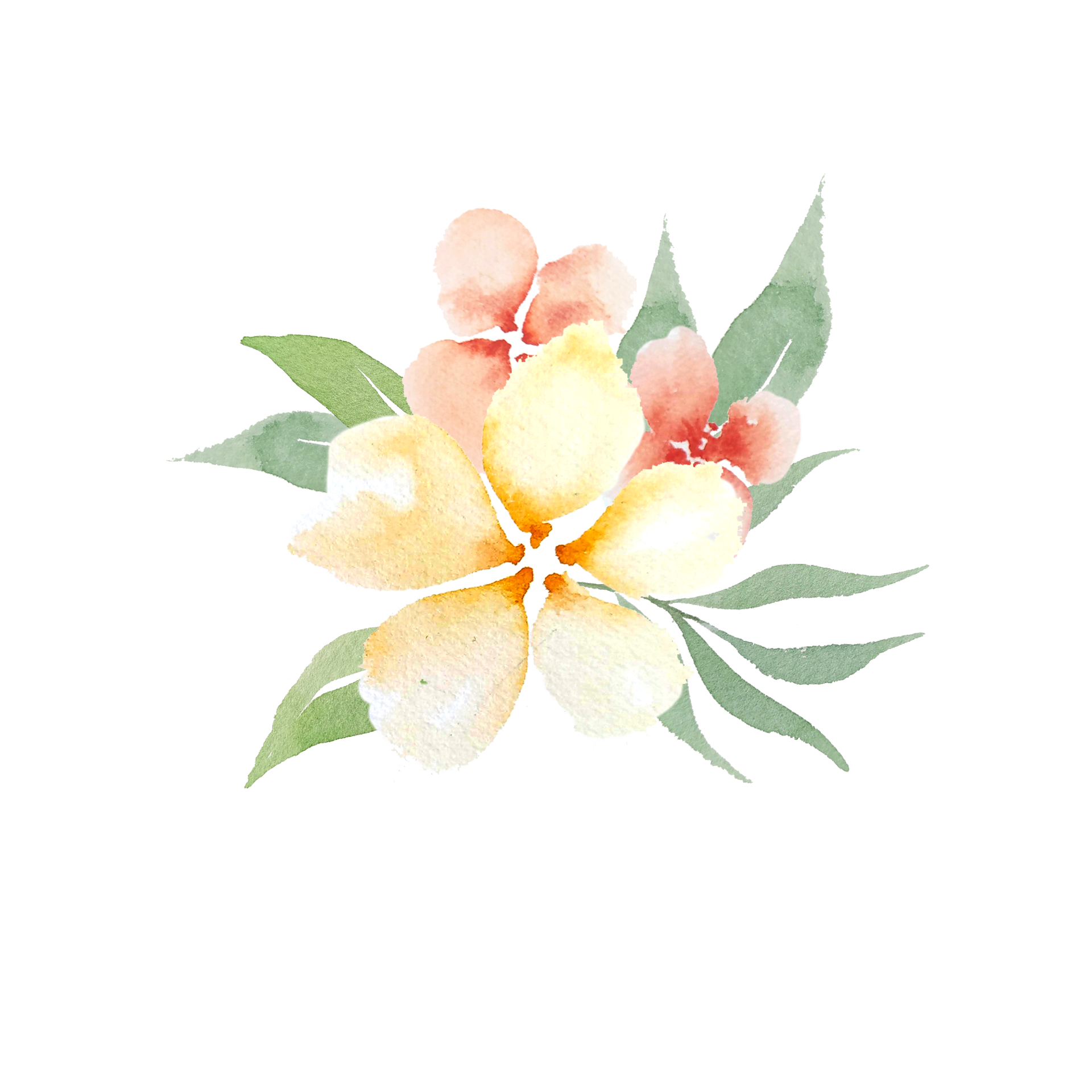 Watercolor peach flowers 14323554 PNG