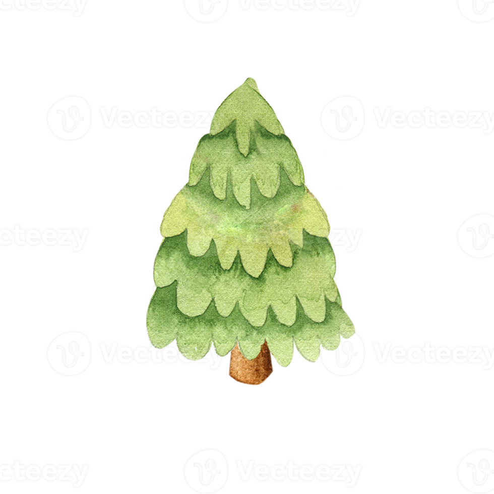 acquerello Natale albero png