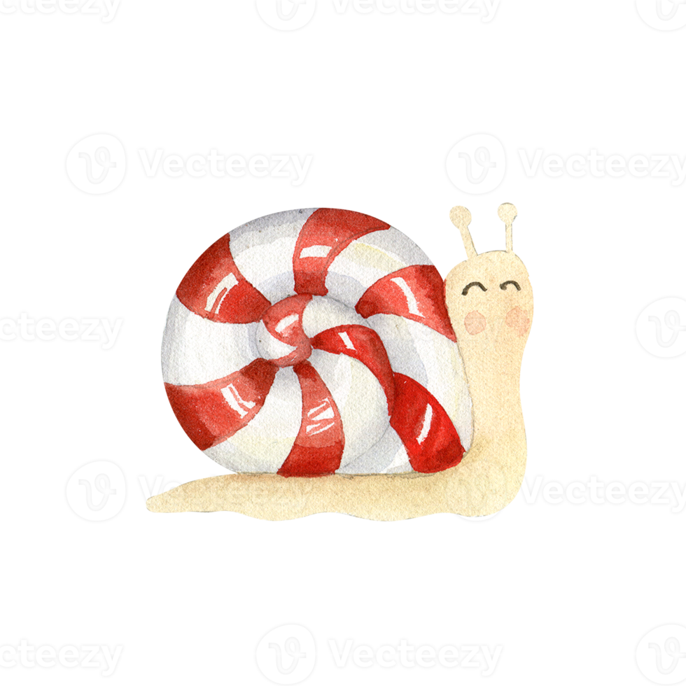 Watercolor christmas  cute snail png