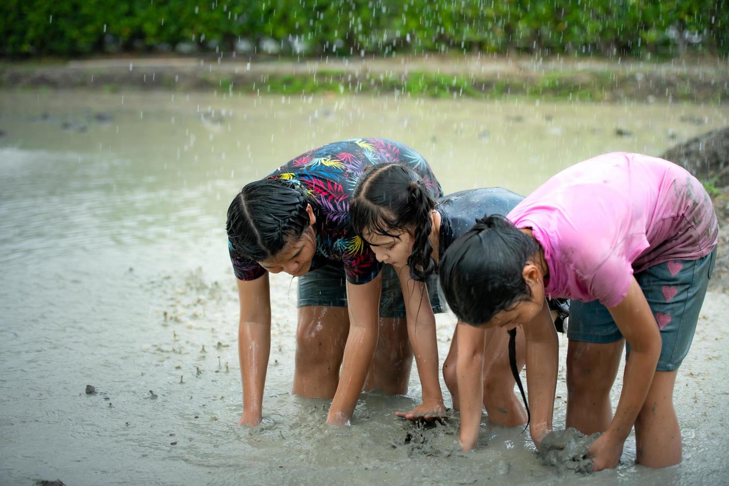 Little girls have fun playing in the mud in the community fields photo