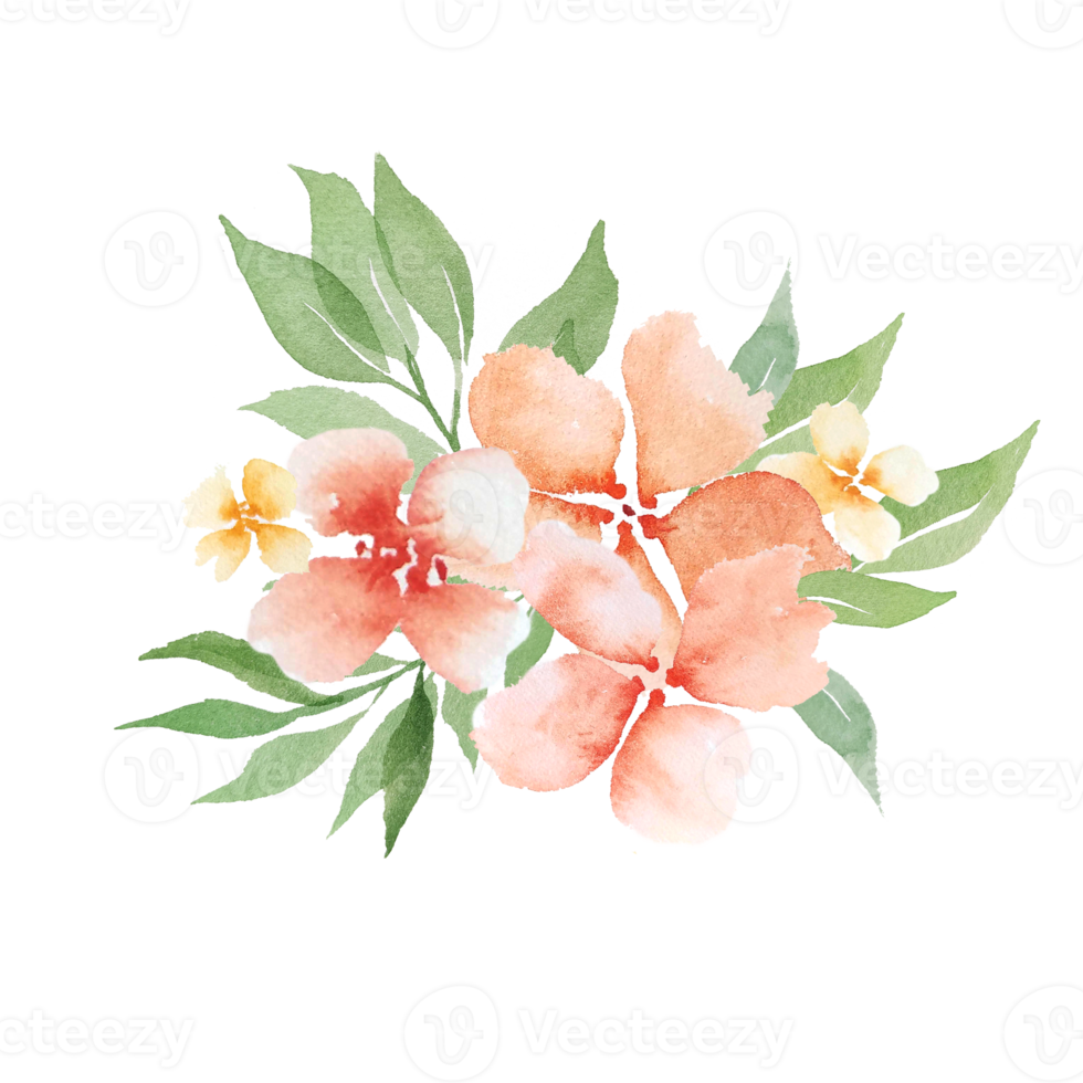 Watercolor peach flowers png