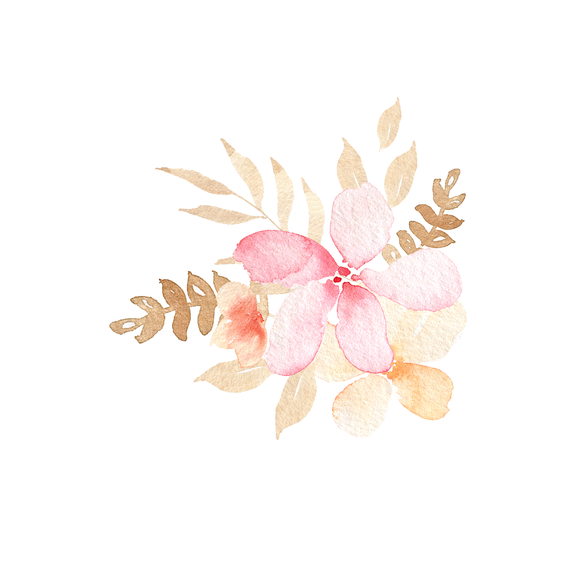 Watercolor peach flowers 14323631 PNG