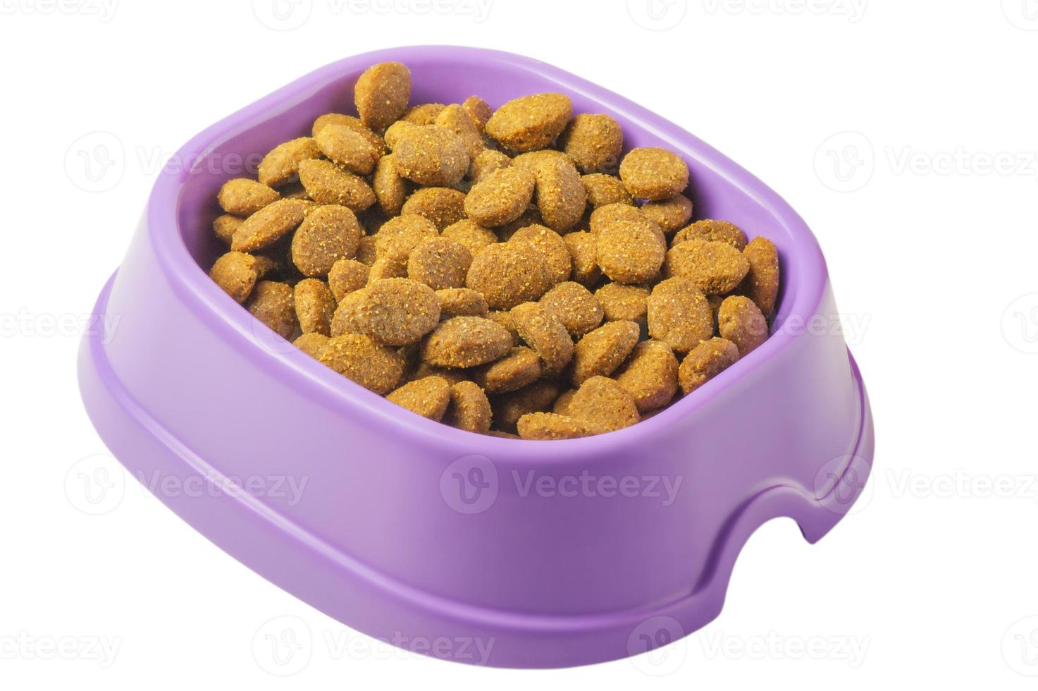 Granules of dry feed for animals in a purple plate. Pet food isolated on white. photo