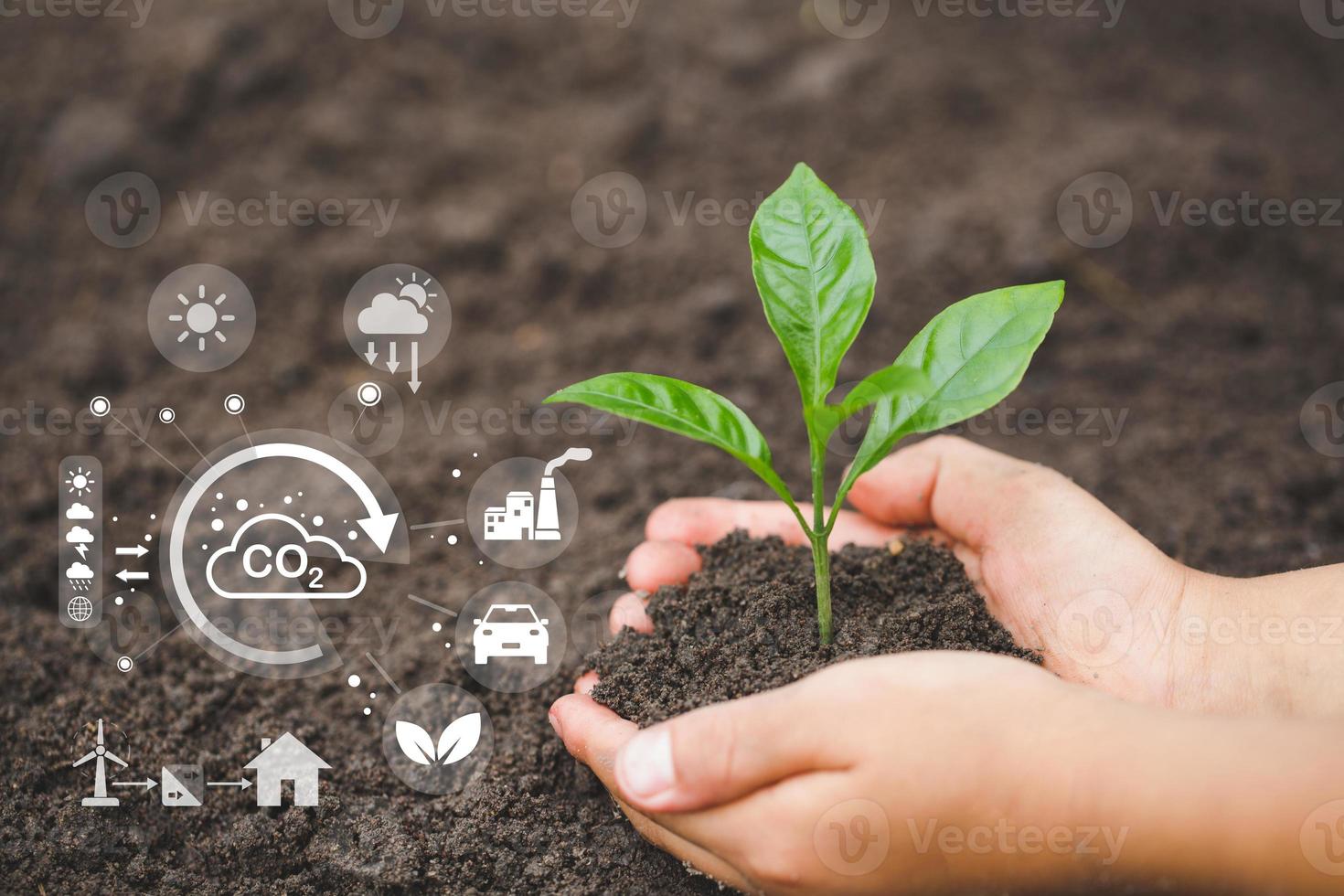 Trees grow in human hands. Hand planting trees with technology of renewable resources to reduce pollution ESG icon concept in hand for environmental, social and sustainable business governance. photo