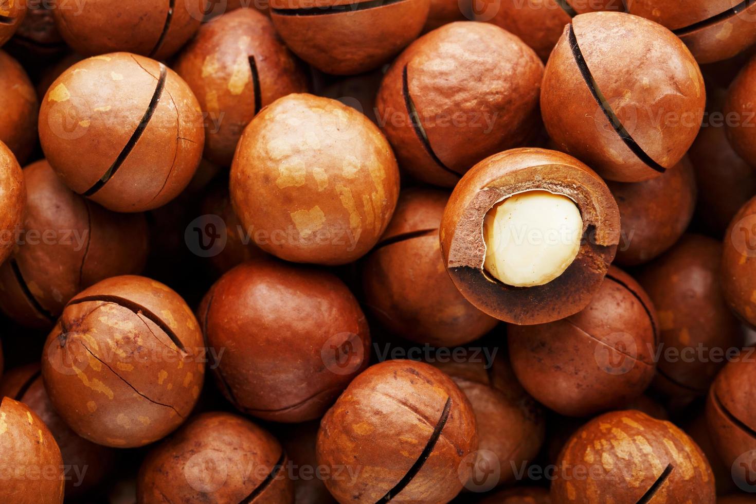 Texture of organic macadamia nut fresh natural fruit shelled one nut in full frame close-up view photo