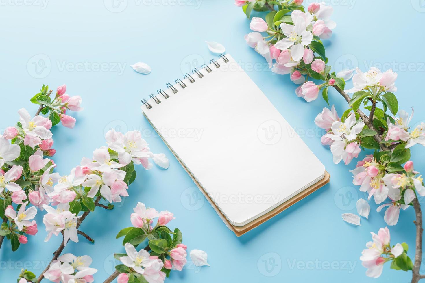 Blooming spring sakura on a blue background with notepad space for a greeting message. The concept of spring and mother's day. Beautiful delicate pink cherry flowers in springtime photo