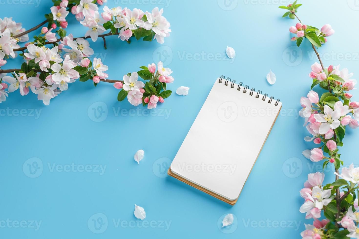 Blooming spring sakura on a blue background with notepad space for a greeting message. The concept of spring and mother's day. Beautiful delicate pink cherry flowers in springtime photo