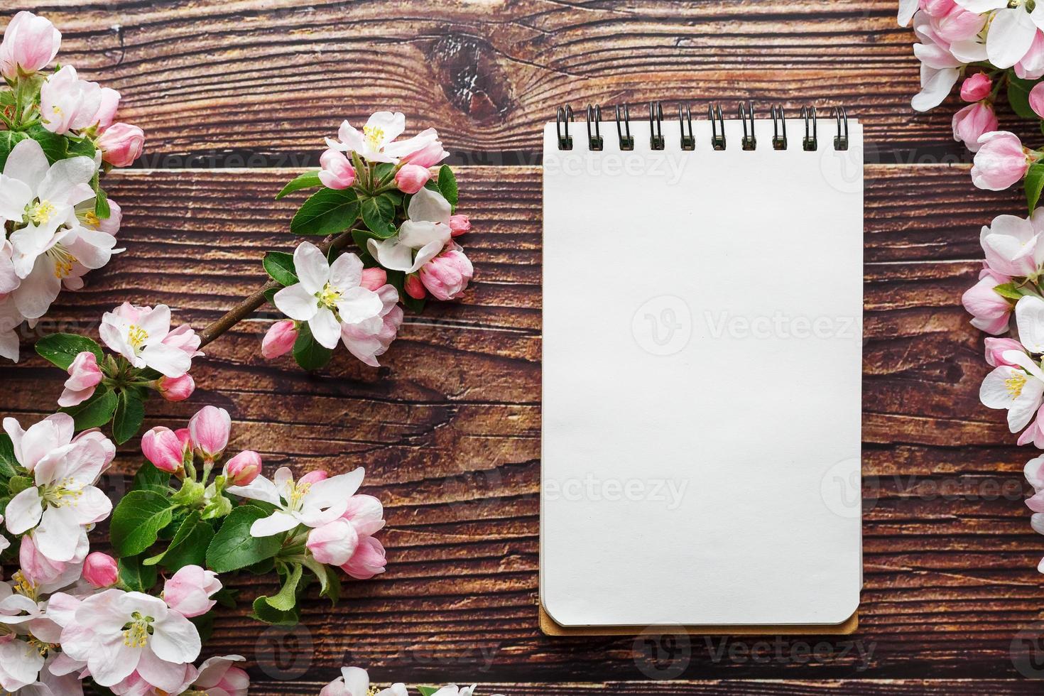 Sakura blossoms on a dark rustic wooden background with a notebook. Spring background with blossoming apricot branches and cherry branches photo