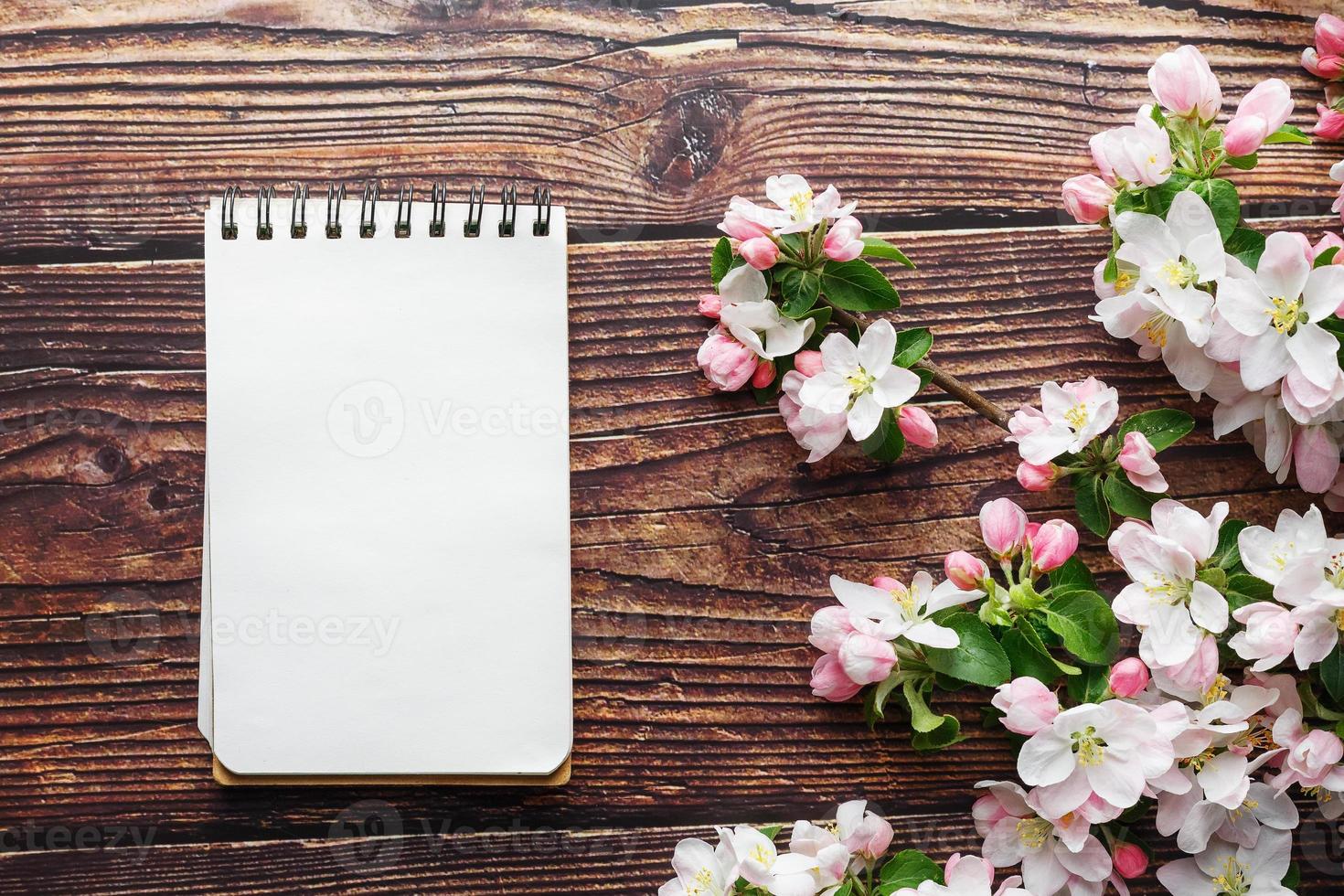 Sakura blossoms on a dark rustic wooden background with a notebook. Spring background with blossoming apricot branches and cherry branches photo