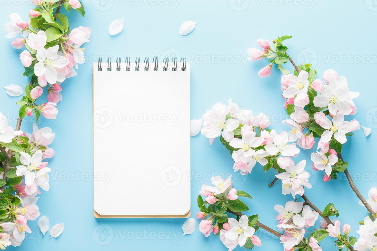 sakura de primavera floreciente sobre un fondo azul con espacio de bloc de notas para un mensaje de saludo. el concepto de primavera y día de la madre. hermosas y delicadas flores de cerezo rosa en primavera foto