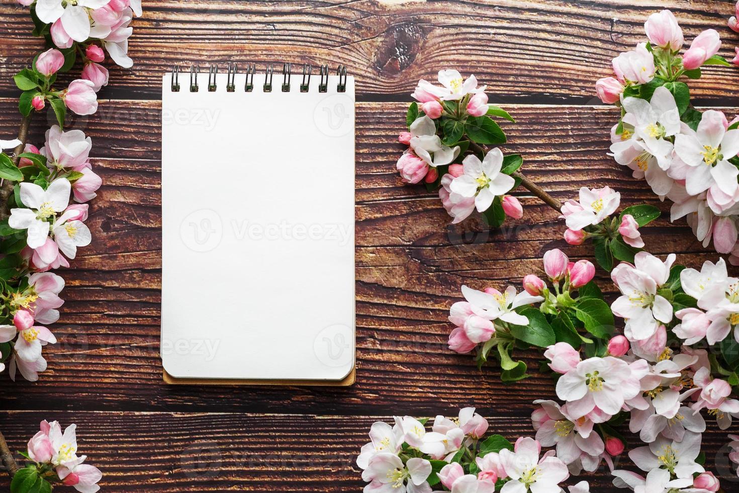 Sakura blossoms on a dark rustic wooden background with a notebook. Spring background with blossoming apricot branches and cherry branches photo