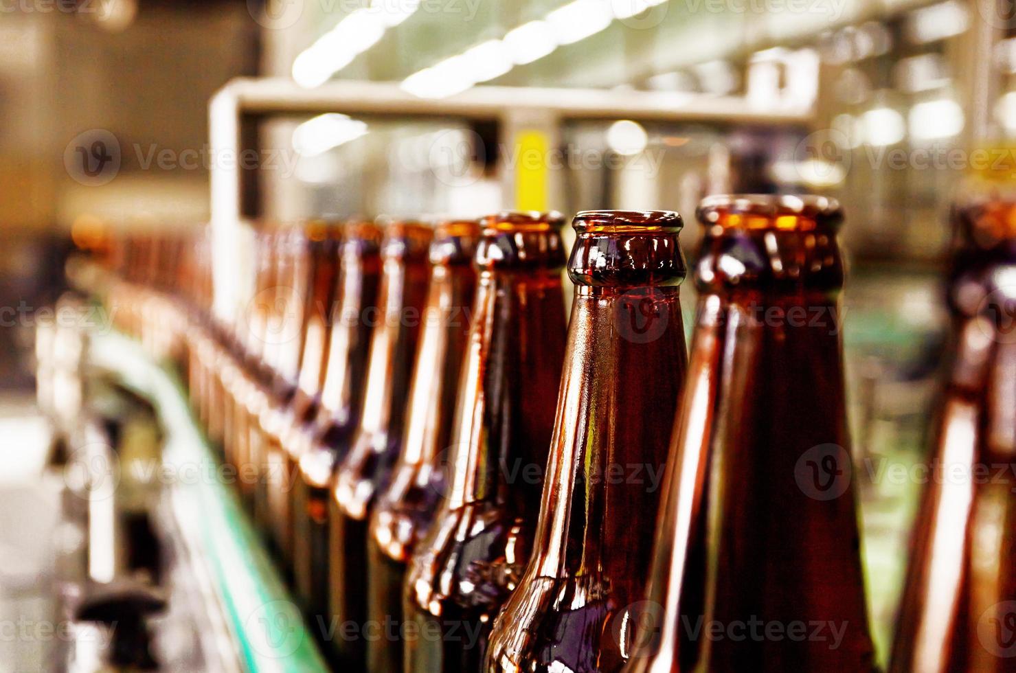 Beer bottle in conveyor belt photo
