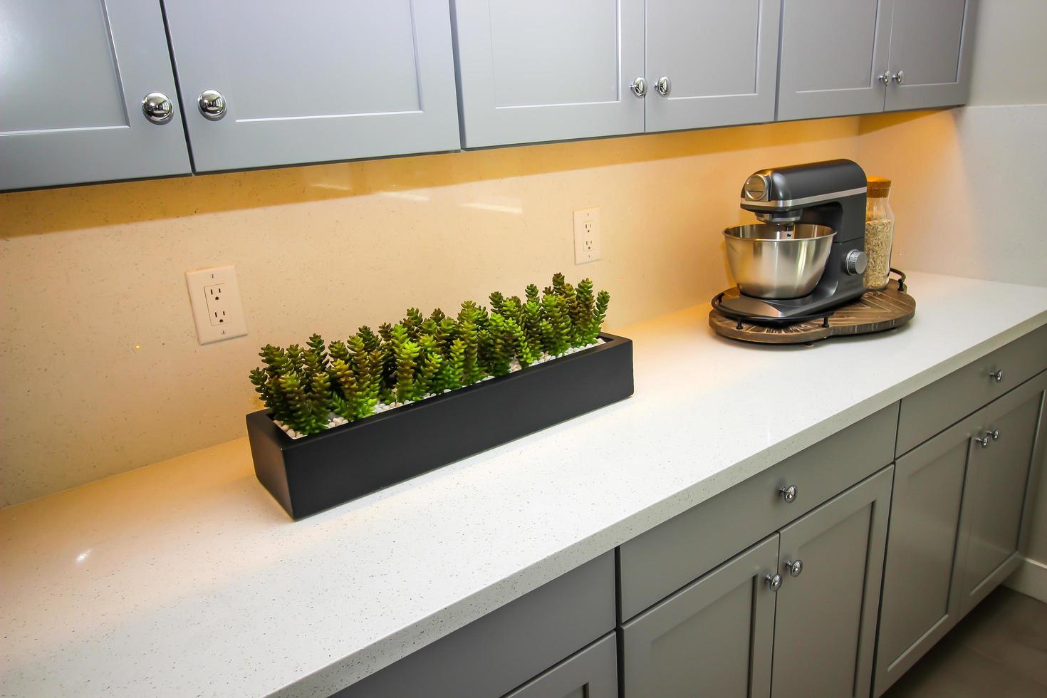 Kitchen Counter Top With Artificial Plant And Mixing Machine photo