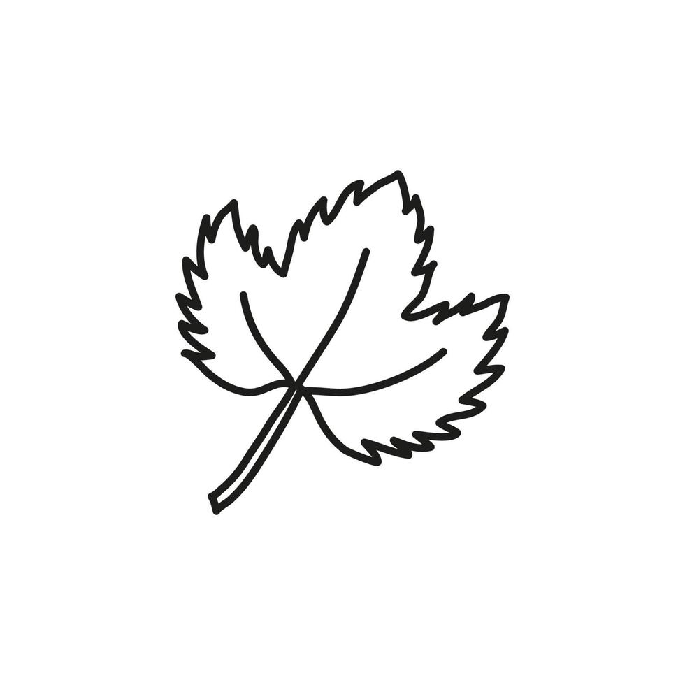 Doodle grape leaf. vector