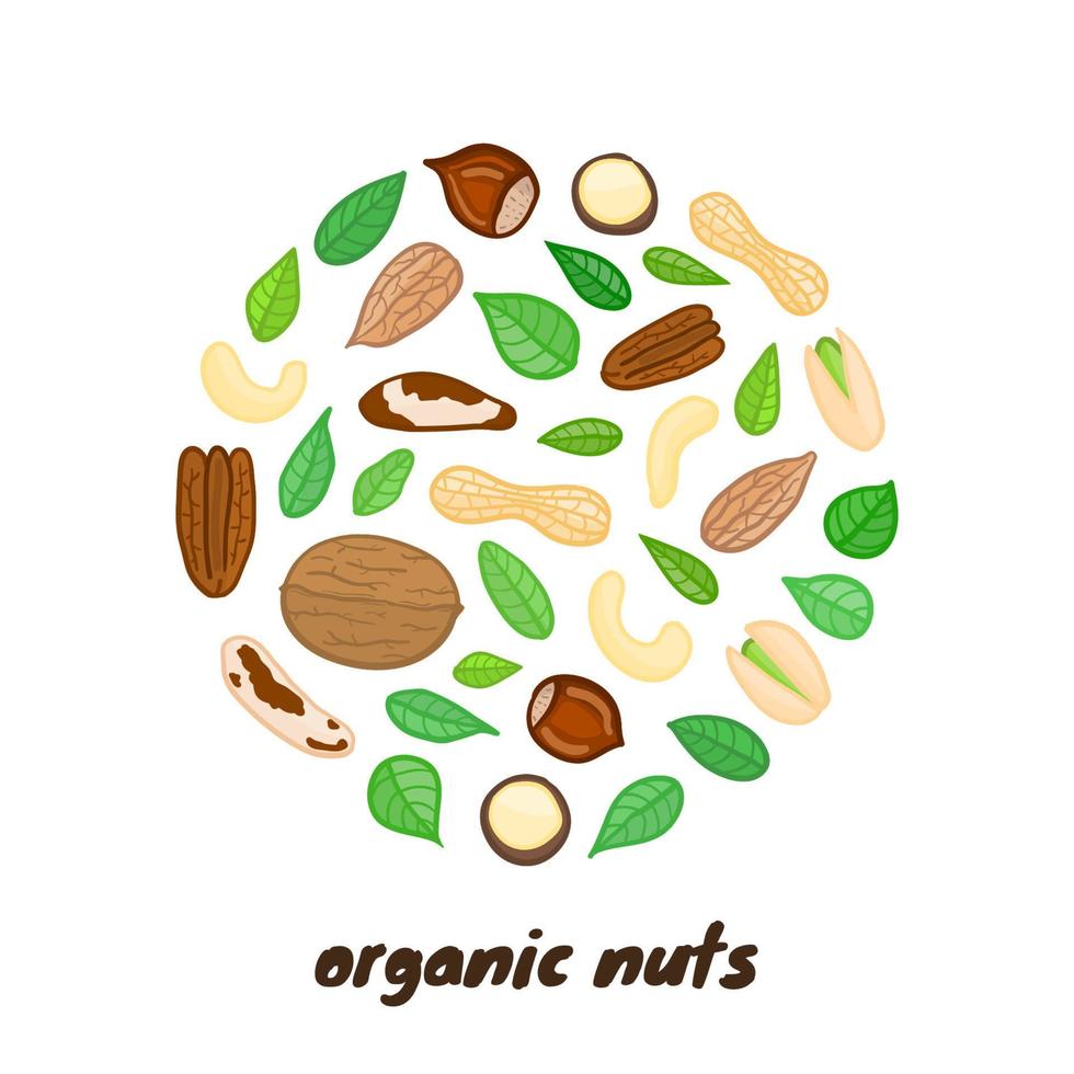 Doodle nuts in circle. vector
