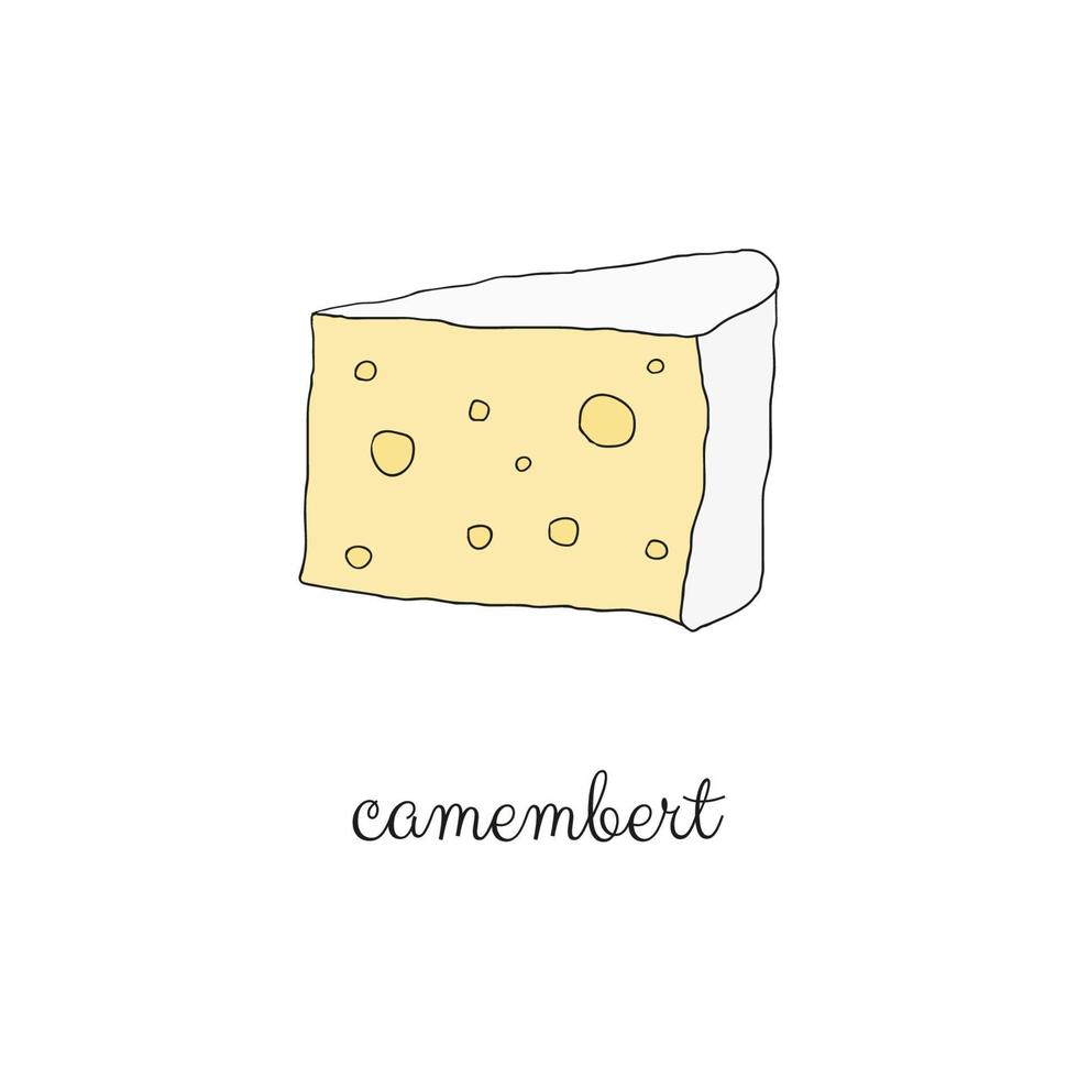 Hand drawn camembert cheese. vector