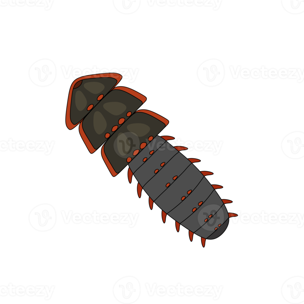 trilobite beetle icon png