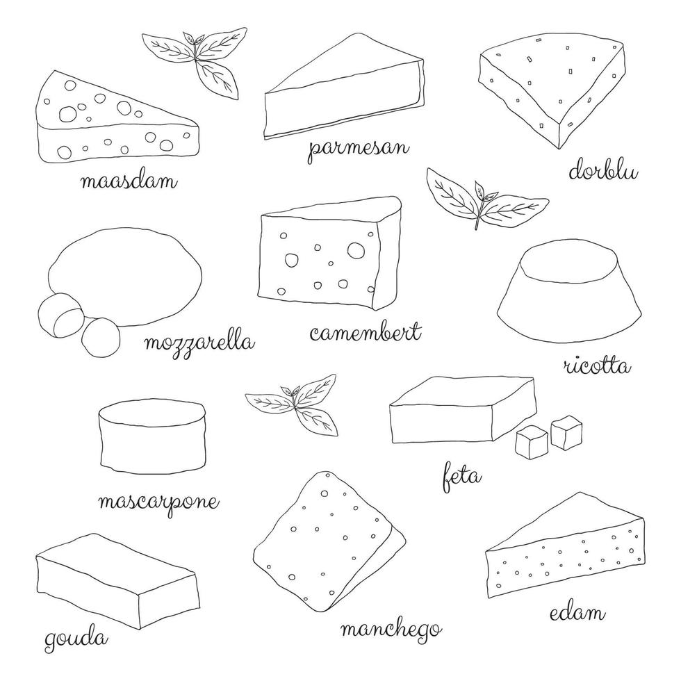 Hand drawn outlined cheese. vector