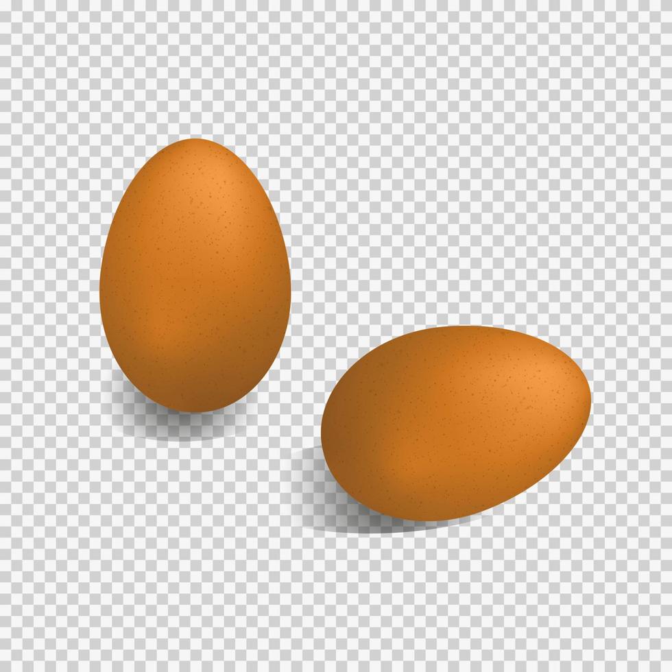 Brown realistic eggs. vector