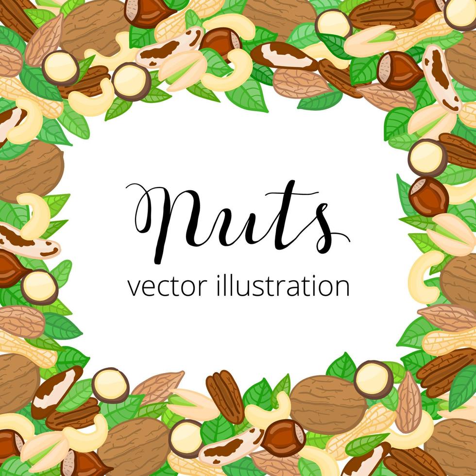 Square background with doodle nuts, leaves. vector
