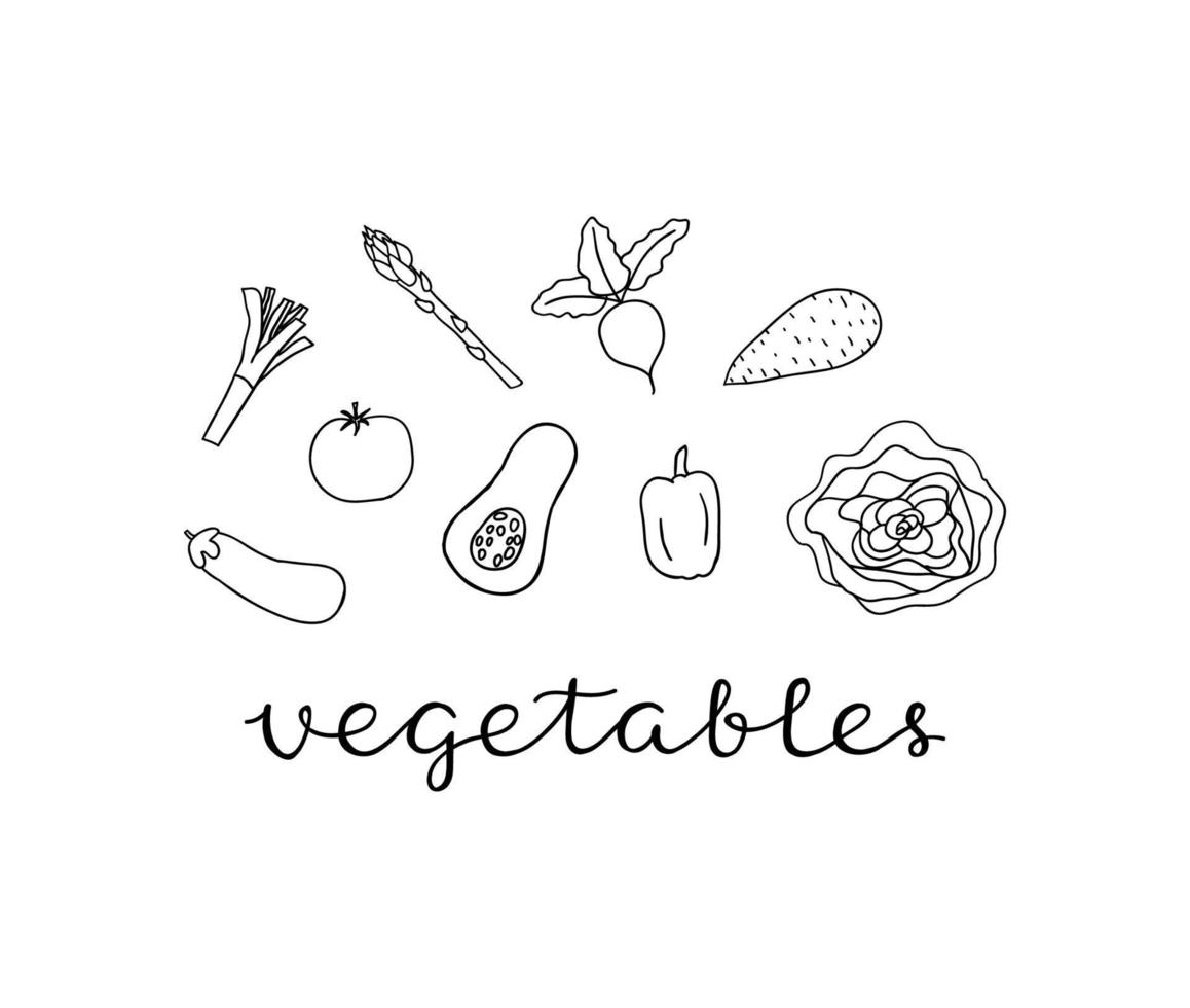 composición con verduras y letras. vector