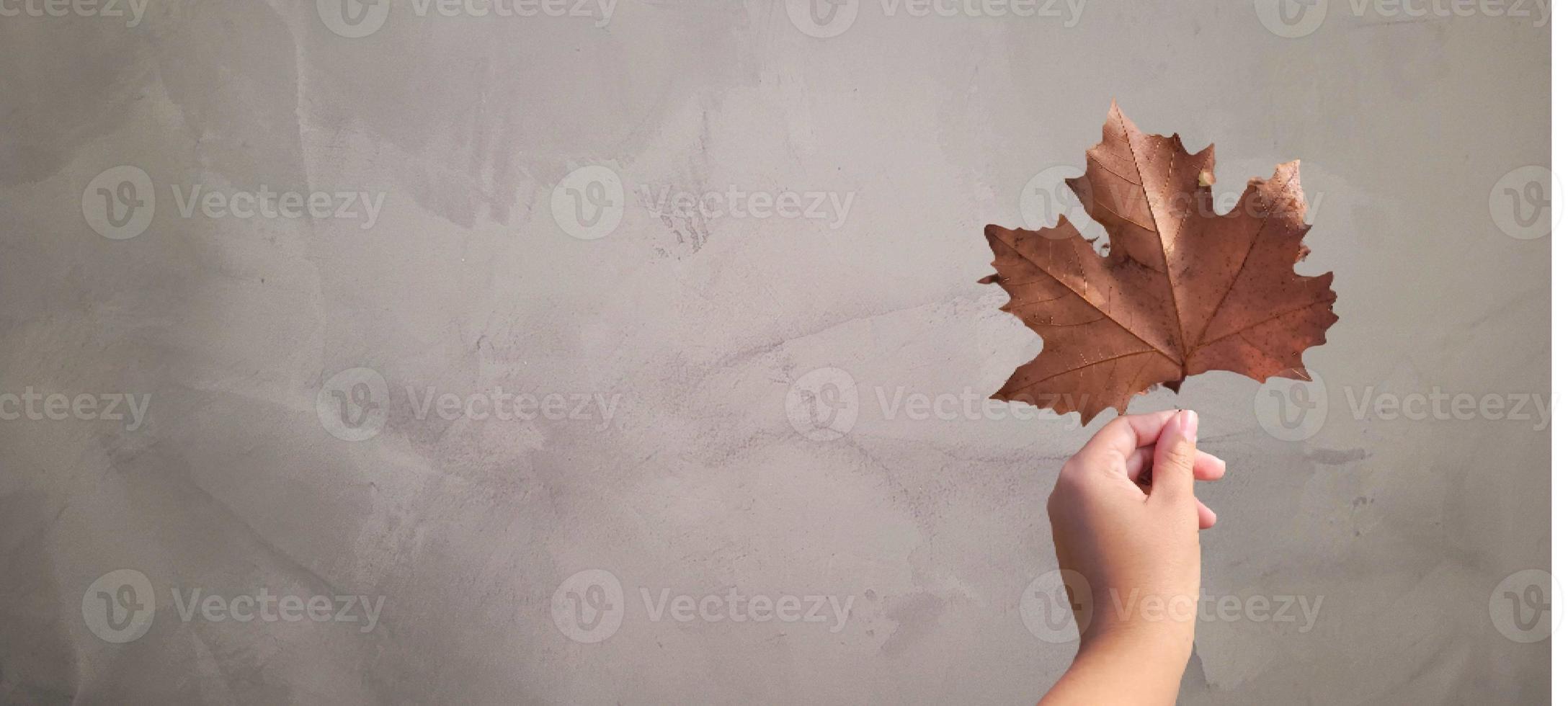 breakfast table with gray background photo