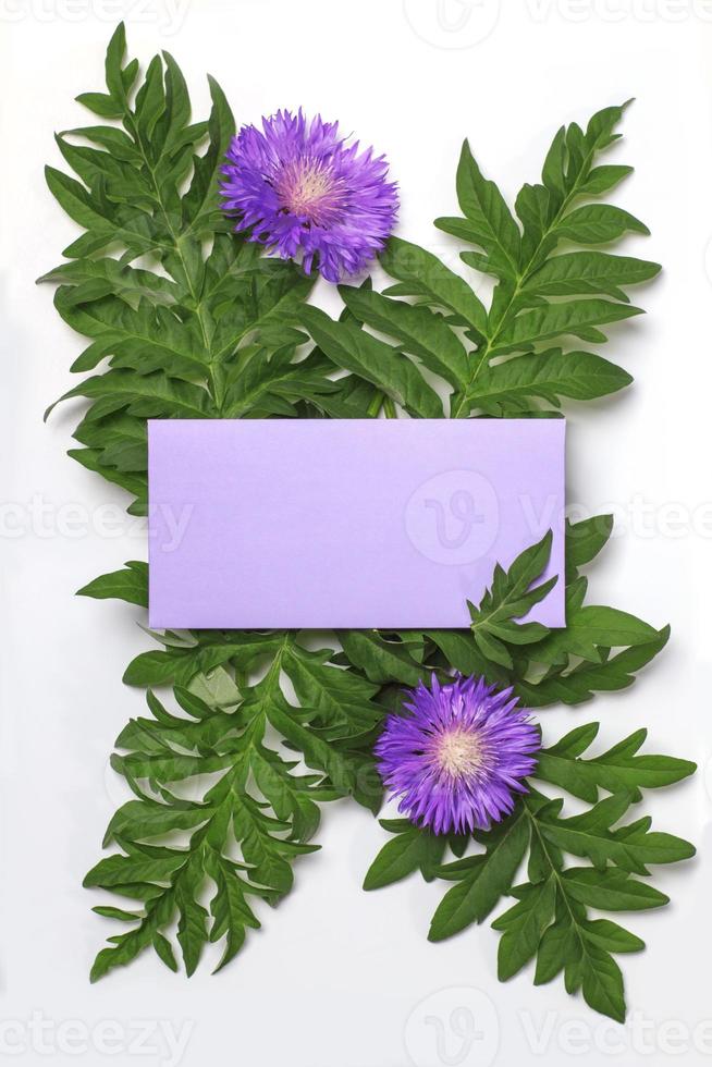 Violet empty envelope and purple thistle flowers on a white background. Mockup for invitation or greeting card. photo