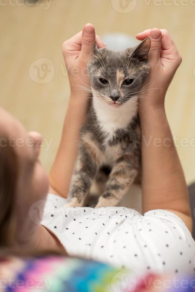Affectionate, pensive cat sits on the chest of the owner, who hugs her. photo