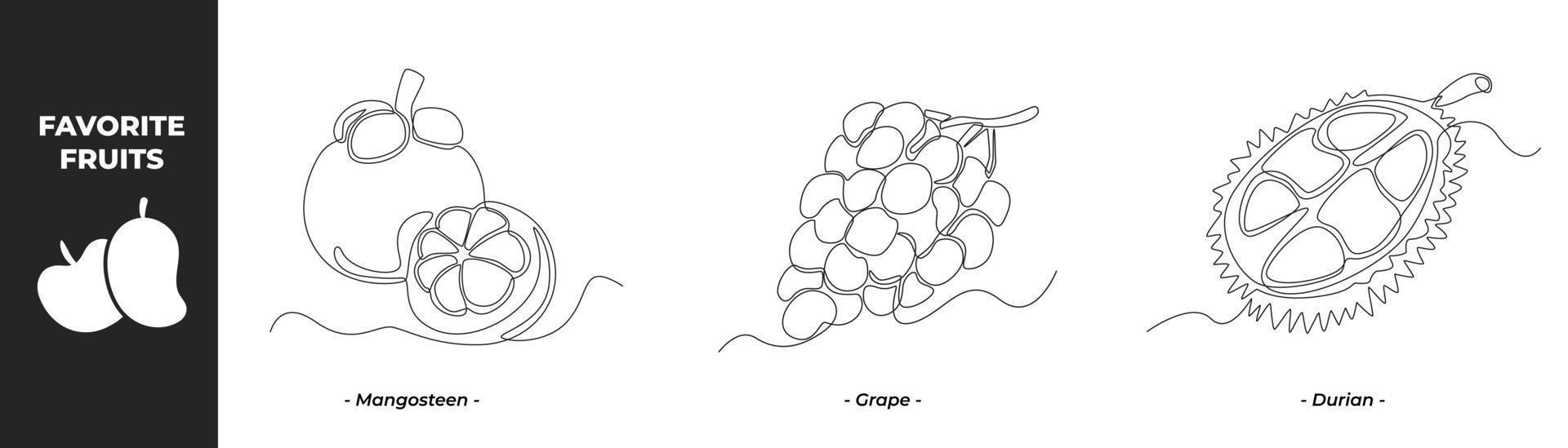 Single one line drawing Fruits set concept. Mangosteen, Grape and Durian. Continuous line draw design graphic vector illustration.