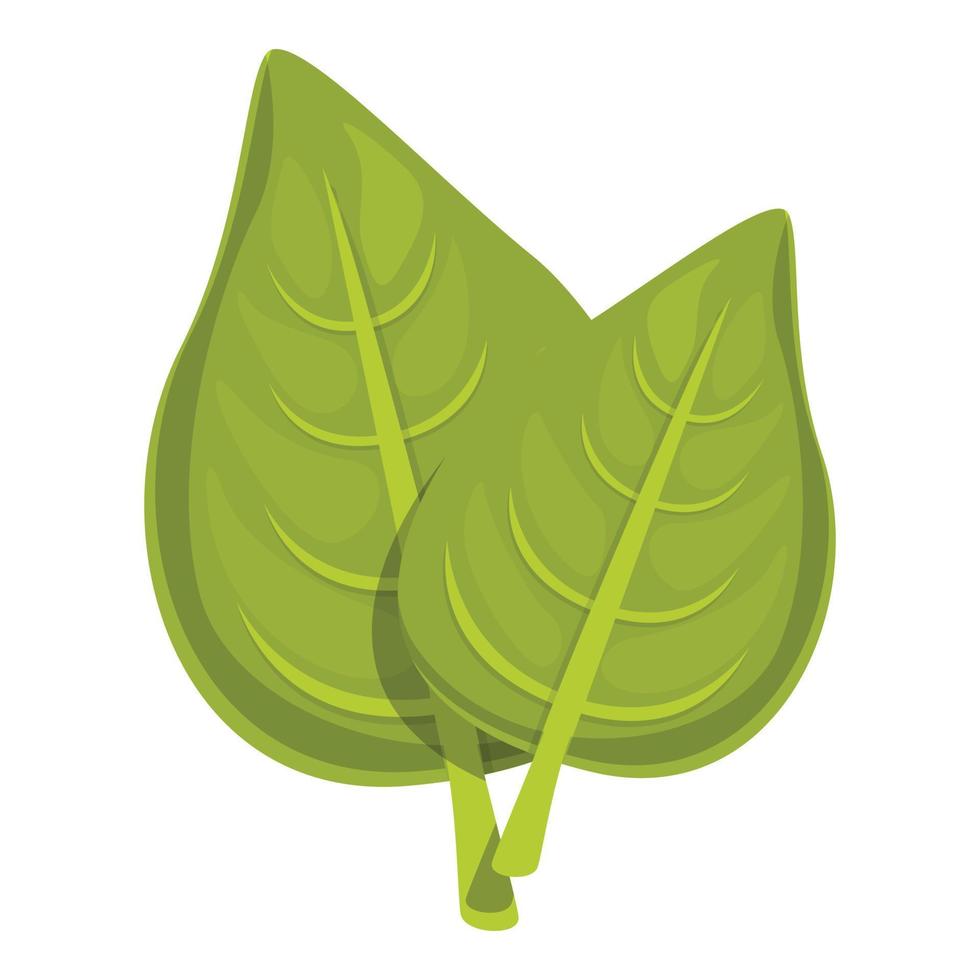 vector de dibujos animados de icono de planta de tomillo. hoja de orégano