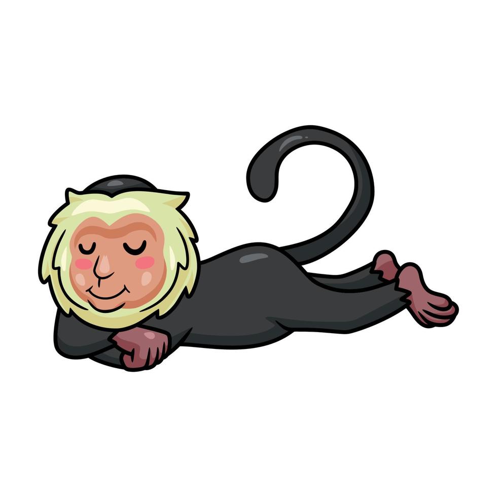 lindo pequeño mono capuchino dibujos animados durmiendo vector