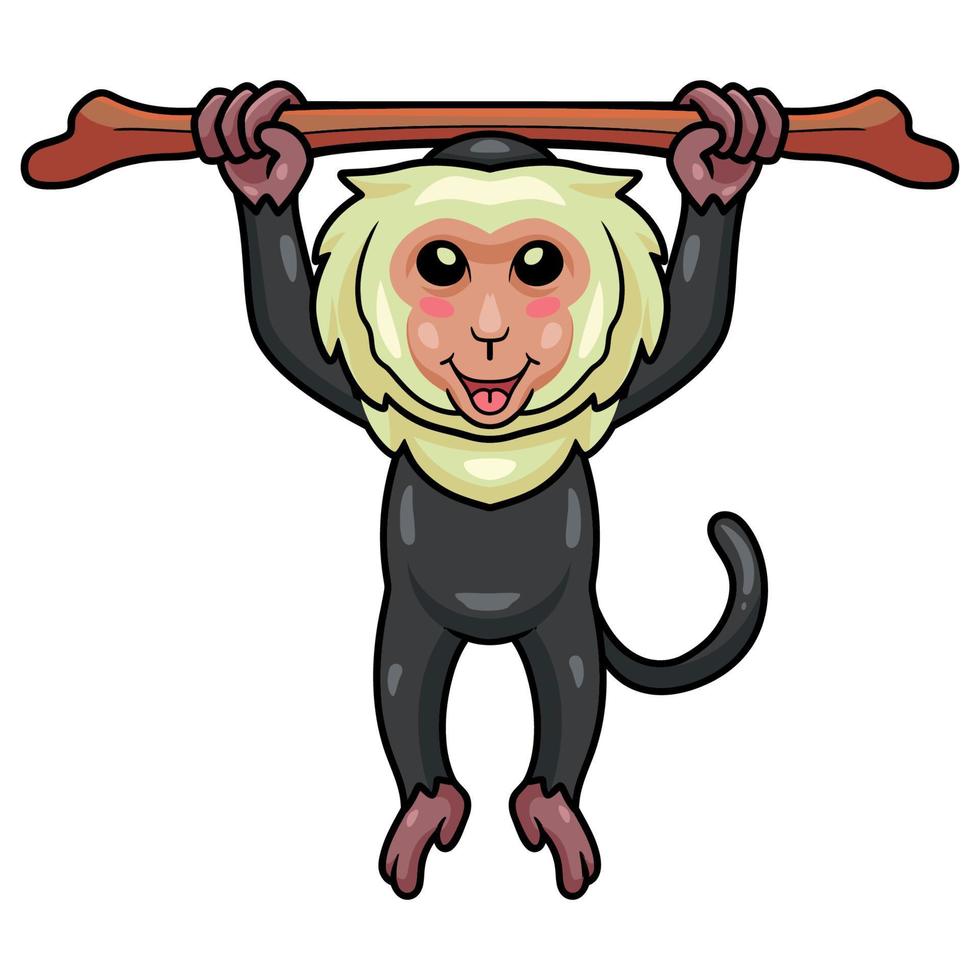 Cute little capuchin monkey cartoon hanging tree vector