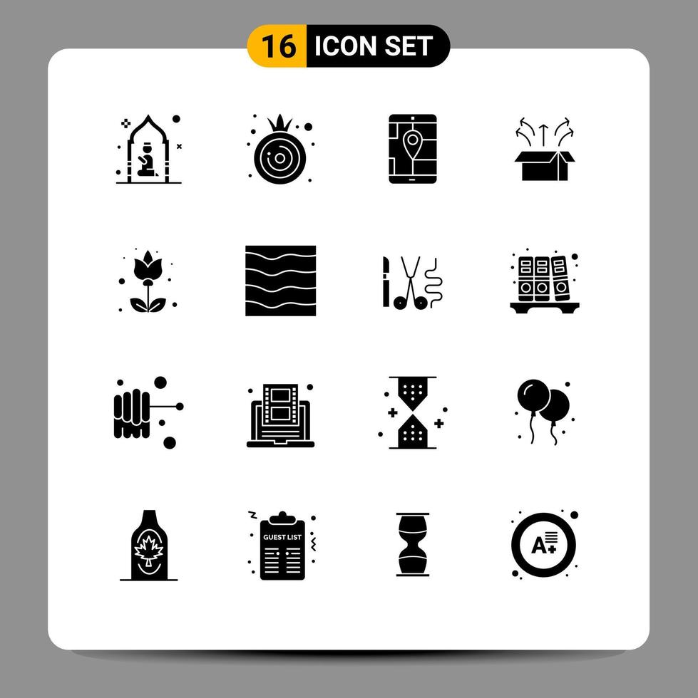Modern Set of 16 Solid Glyphs Pictograph of flower open box app launch release Editable Vector Design Elements