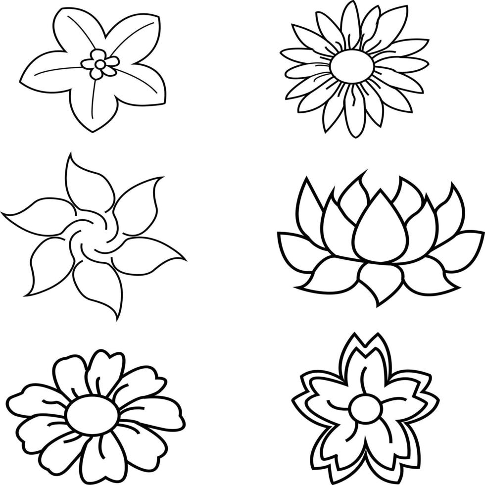 flower collection decoration 14332705 Vector Art at Vecteezy