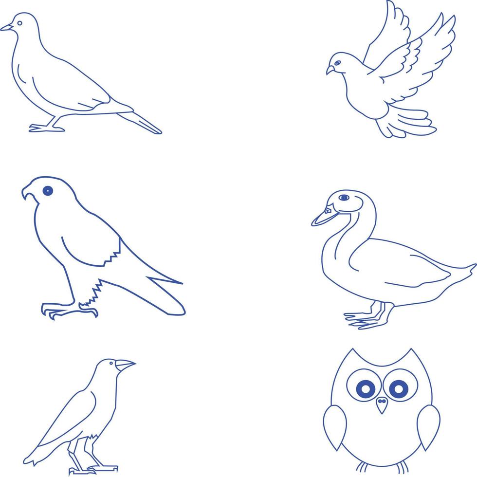 birds collection duck pigeon crow vector