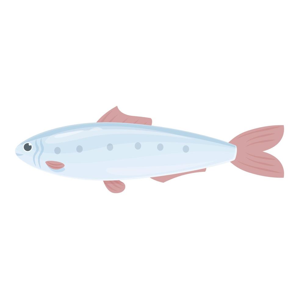 vector de dibujos animados de icono de sardina de aceite. peces de mar