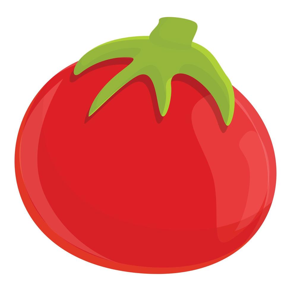 icono de tomate fresco turco, estilo de dibujos animados vector