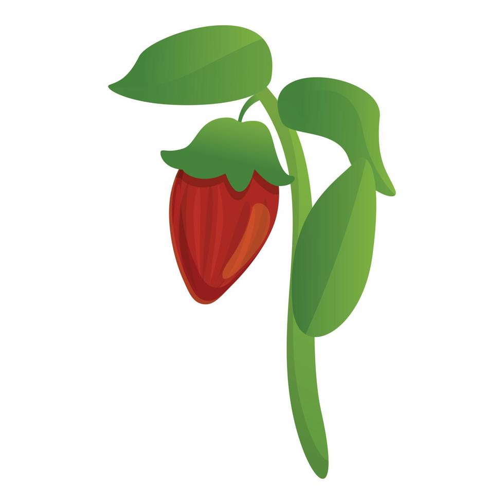 icono de planta jojoba, estilo de dibujos animados vector